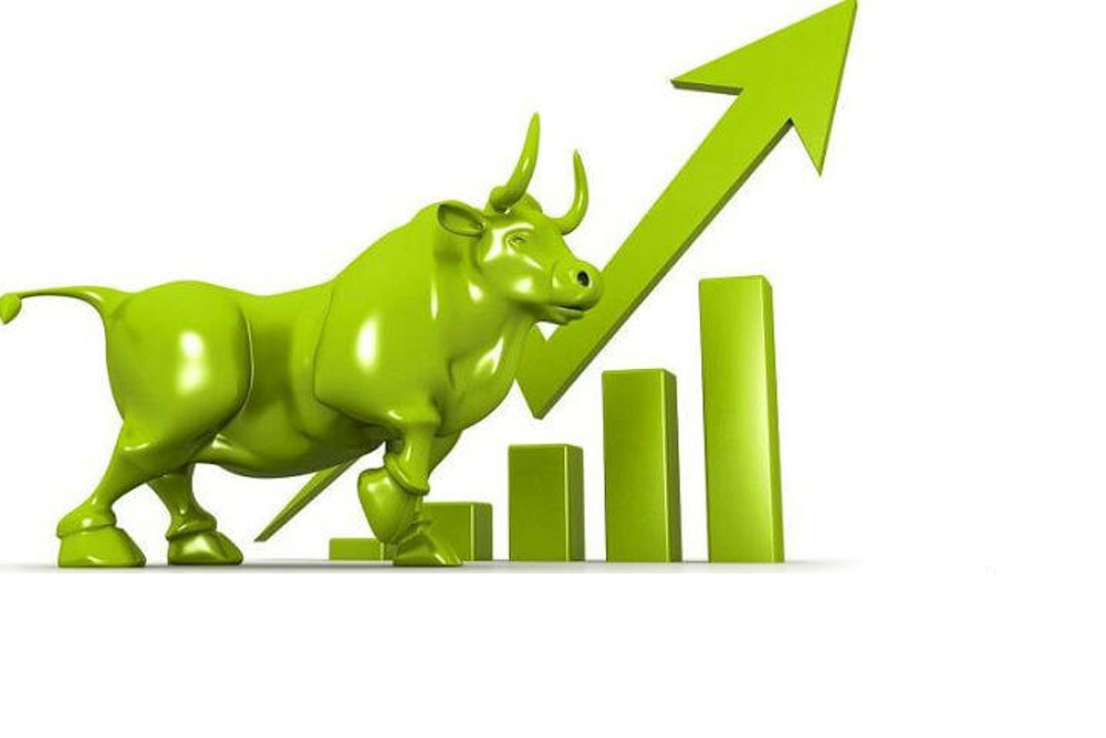 ३० अंकले बढ्यो नेप्से, २०५ वटा कम्पनीको बढ्यो सेयर मूल्य