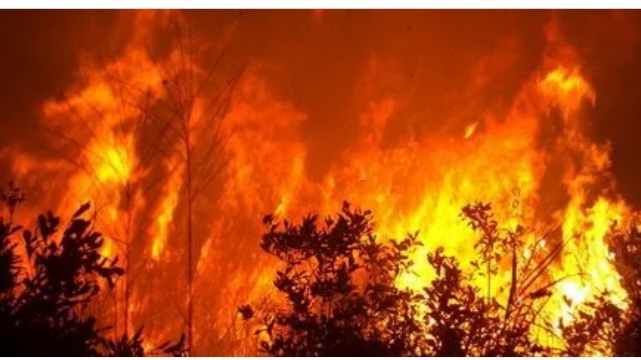 जंगलमा लागेको आगो सल्किँदा दुई घर जलेर नष्ट