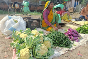 भारतबाट आउने तरकारीका कारण नेपाली किसान समस्यामा